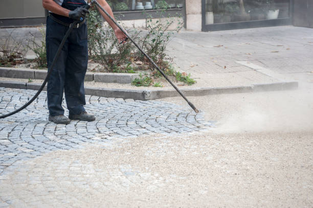 Best Soft Washing for Delicate Surfaces in Manchester, IA